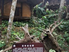 -海南槟榔谷黎苗文化旅游区