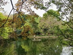 -望江楼公园