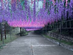 -北京十三陵国家森林公园蟒山景区