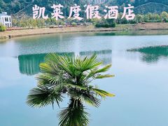 -景德镇中国陶瓷博物馆西山湖凯莱度假酒店