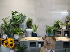 -Moment coffee莳光里咖啡
