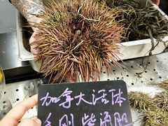 -HIHE Bistro·Oyster Bar(华熙live店)