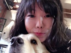 -百好乐宠物友好餐厅(朝外大街店)