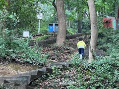 -上海佘山国家森林公园天马山园