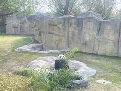 -上海野生动物园