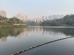 -重庆彩云湖湿地公园