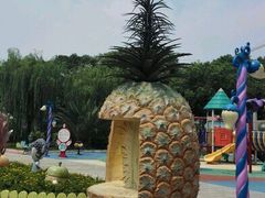 苏州乐园•水上世界-苏州乐园森林水世界