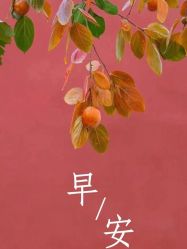 -Oasis Beauty水磨坊科技美肤中心