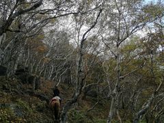 -灵山