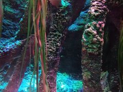 -沈阳海洋探索中心