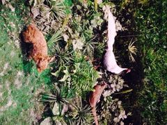 iphone_upload_pic-广东省博物馆