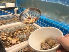 花螺-汉来海港·海鲜自助餐厅(上海七宝领展广场店)