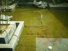 景观位-竹雨堂创意中国菜(裕华店)