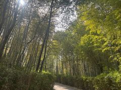 -天目湖涵田度假村