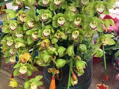 -星美国际影商城(黄龙店)