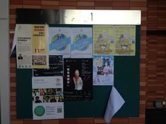 -香港大学