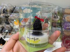 -新罗免税店(济州店)