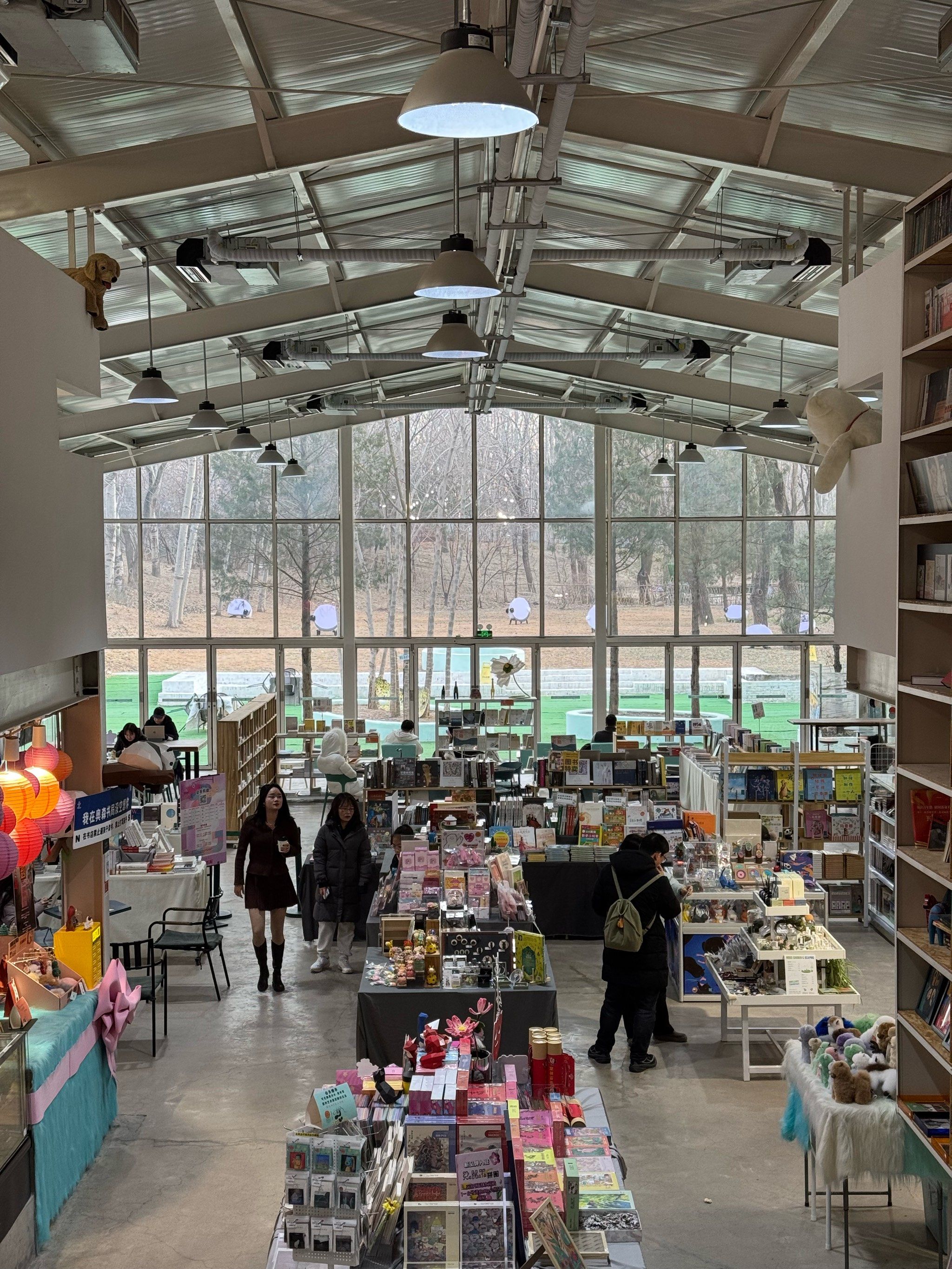 在图书馆发现新天地