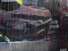 Photo-0195-绿色时代大酒店