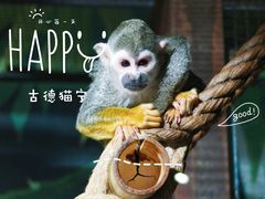 -海合安天津极地海洋公园