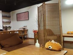 -柴务处·柴犬主题狗咖