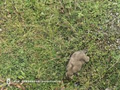 -黄河九曲第一湾