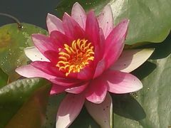 -南京市无想山景区