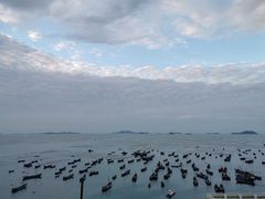 -枸杞岛