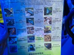 -热带雨林自然公园