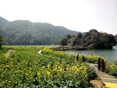 -广州市石门国家森林公园