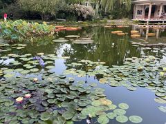 -国家植物园南园