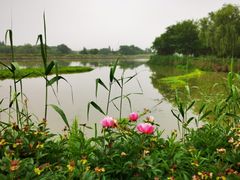 -梁鸿国家湿地公园