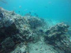 -卡帕莱度假村(西巴丹岛)