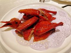 -十二粤味·顺德菜·烧鹅点心(五四广场店)