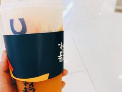 -春丽小马(济南恒隆广场店)