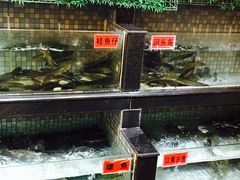 -巴陵全鱼席(湖南老字号汴河街店 )