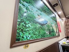 -乳仔牛牦牛汤锅 烤羊排(松潘古城店)