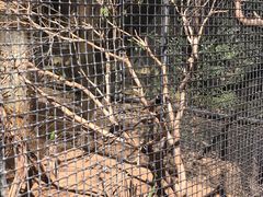 -费瑟代尔野生动物园