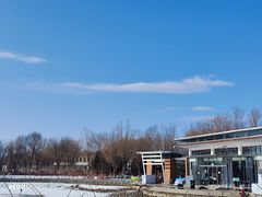 -大兴滨河森林公园