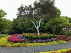 -白马涧龙池景区