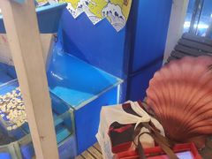 -喜碧海鲜·二十年本土海鲜老字号(上排店)