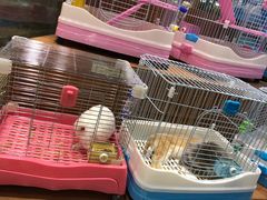 -龟与熊猫宠物公园(南坪店)