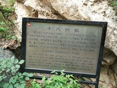 -大芦花风景区