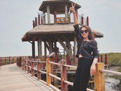 -北海金海湾红树林生态旅游区