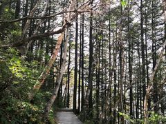 -白草畔自然风景区