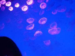 -沈阳海洋探索中心