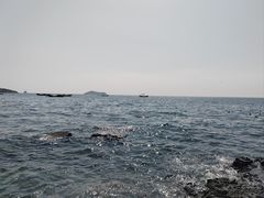-傅家庄公园
