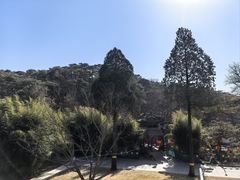 -红螺寺
