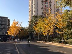 -北京理工大学新食堂