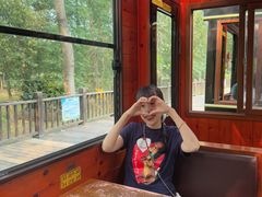 -合肥滨湖国家森林公园